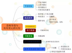 古都西安 思維之網(wǎng)，網(wǎng)絡(luò)技術(shù)服務(wù)的璀璨融合